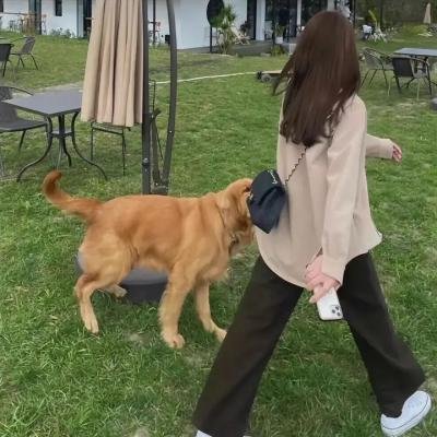 护士娜丽
